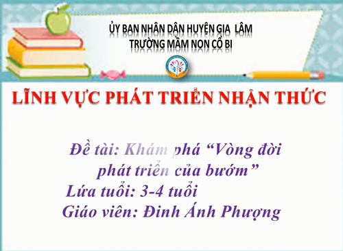 Khám phá: Vòng đời phát triển của bướm - MGB